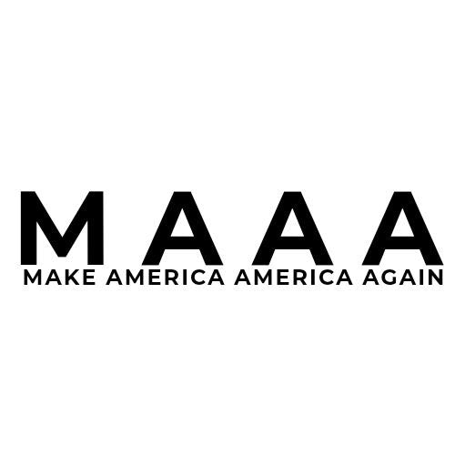 Make America America Again Hat